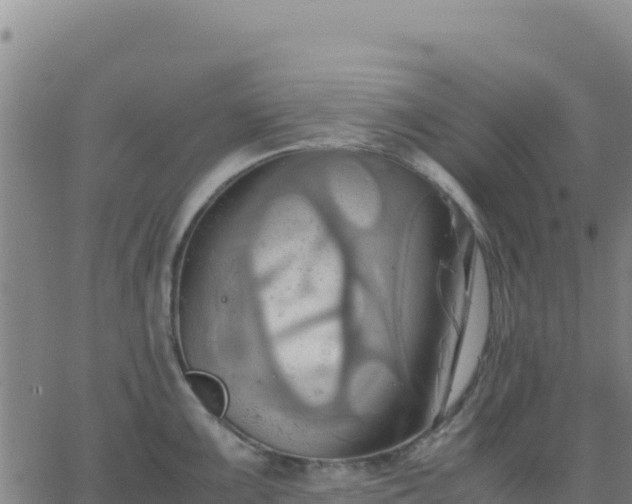 X0000063471099200601271623