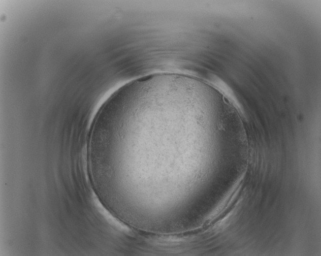 X0000063471100200601271623