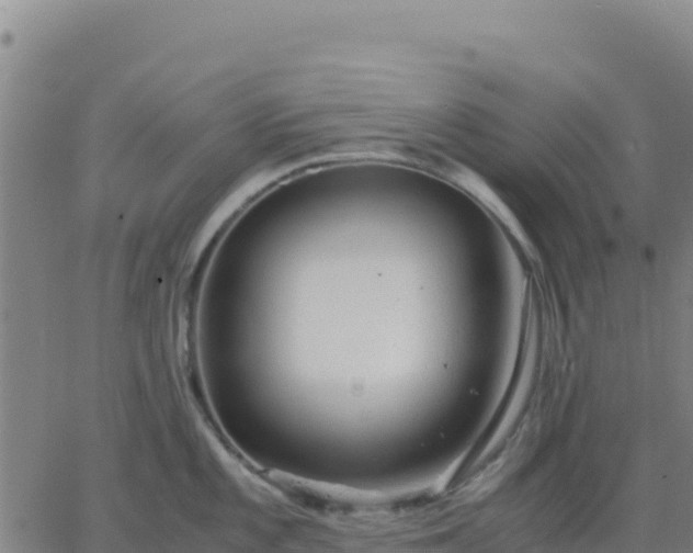 X0000063471101200601271623