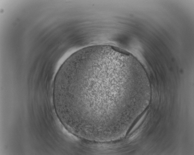 X0000063471102200601271623