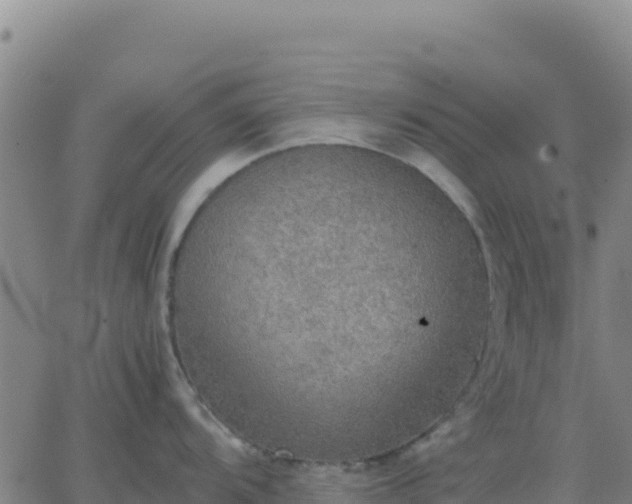 X0000063471104200601271623