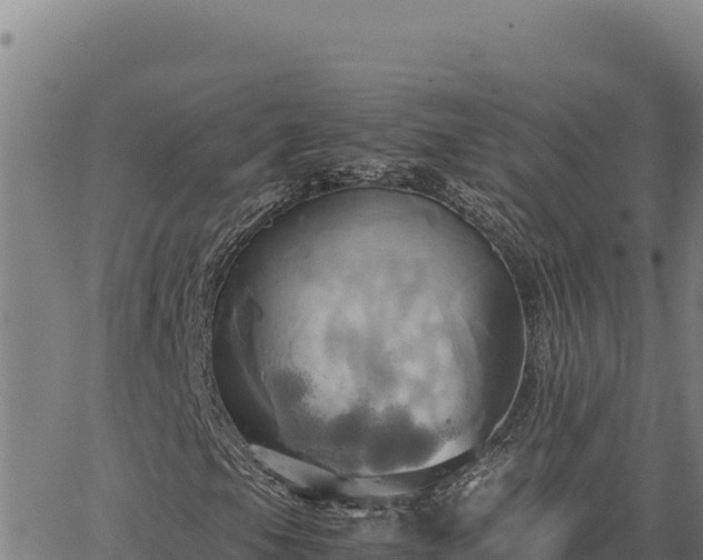 X0000063471105200601271622