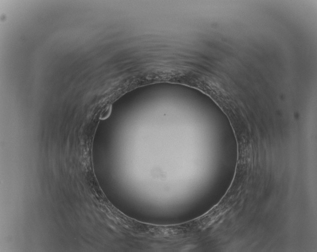 X0000063471109200601271622