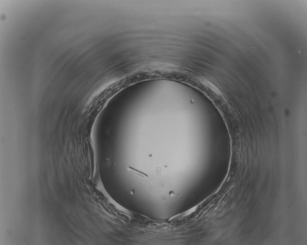 X0000063471112200601271622