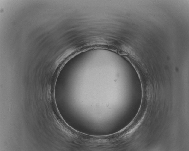 X0000063471113200601271622