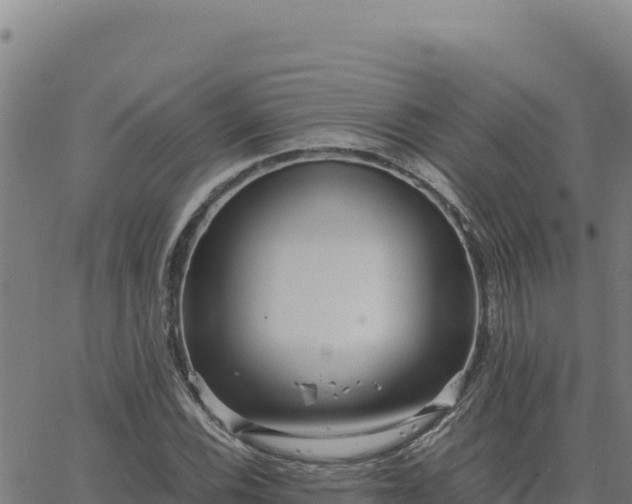 X0000063471116200601271622