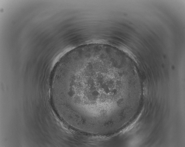 X0000063471117200601271622