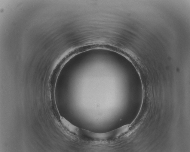 X0000063471118200601271623