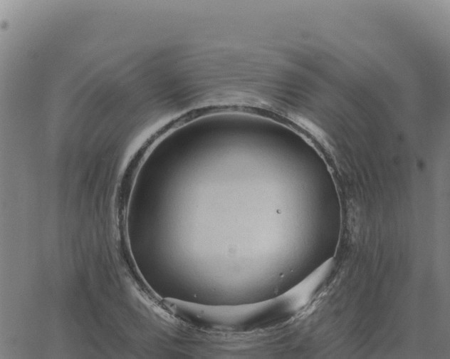 X0000063471120200601271623