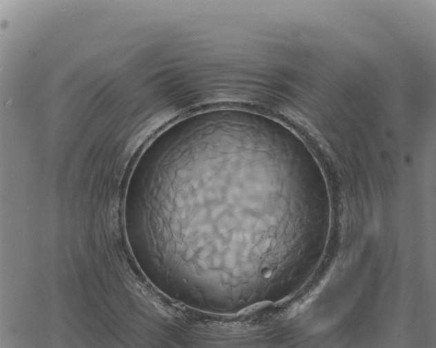 X0000063471121200601271623