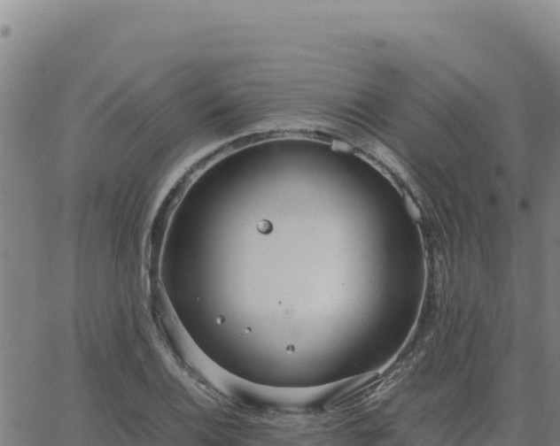 X0000063471124200601271623