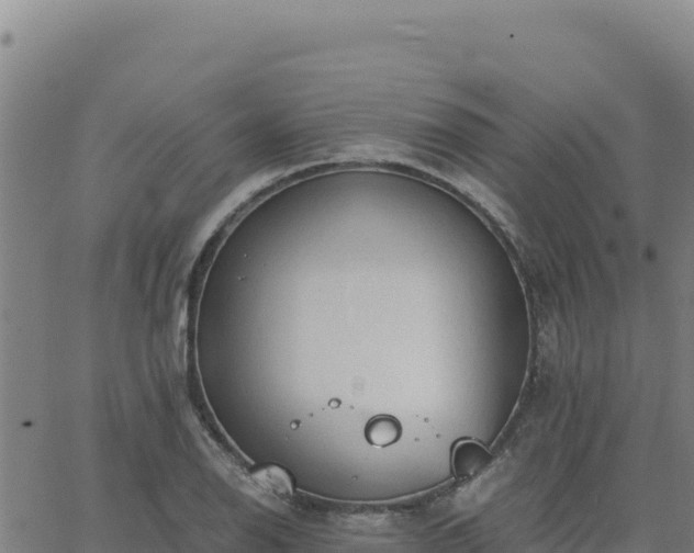 X0000063471126200601271623