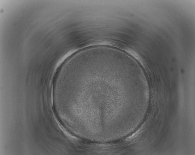 X0000063471127200601271623