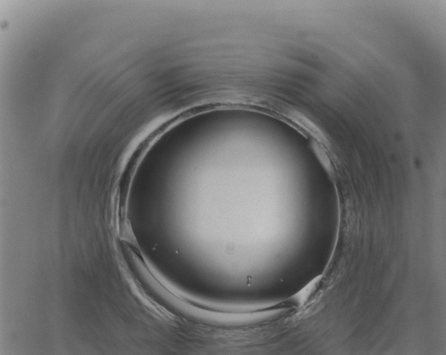 X0000063471128200601271623