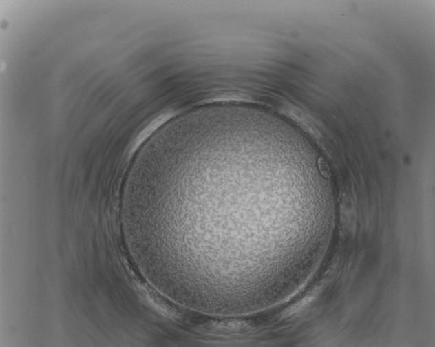 X0000063471129200601271623