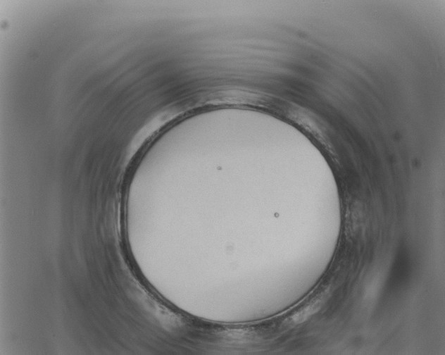 X0000063471130200601271623