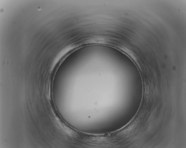 X0000063471131200601271623