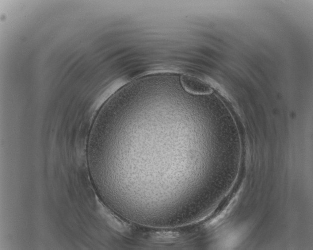 X0000063471137200601271623