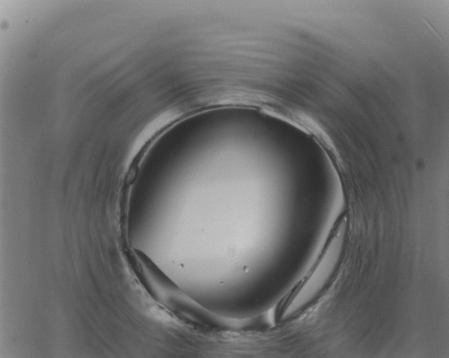 X0000063471138200601271623