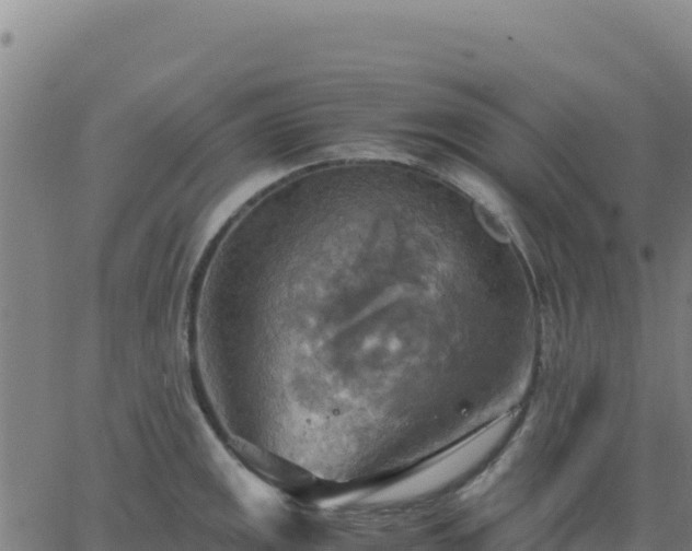 X0000063471141200601271623