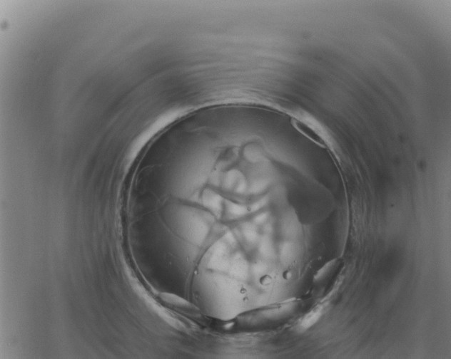 X0000063471142200601271623