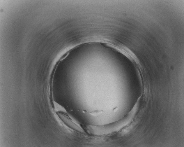 X0000063471144200601271623