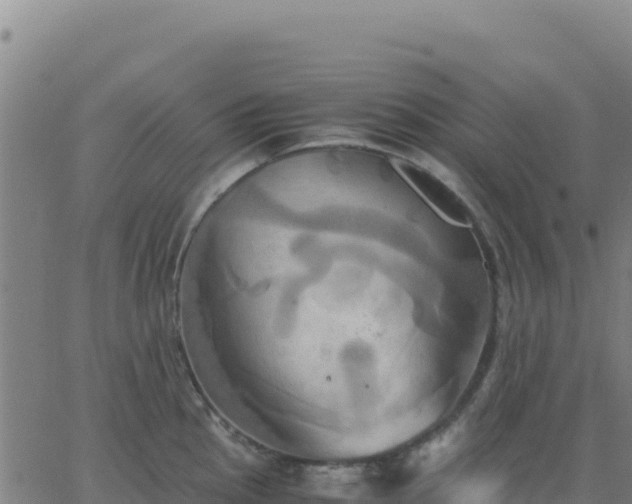 X0000063471145200601271623