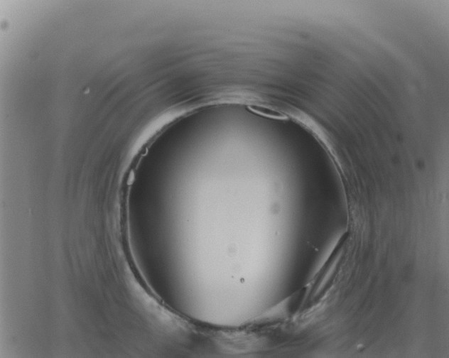 X0000063471147200601271623