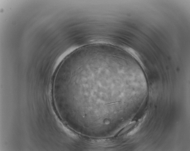 X0000063471149200601271623