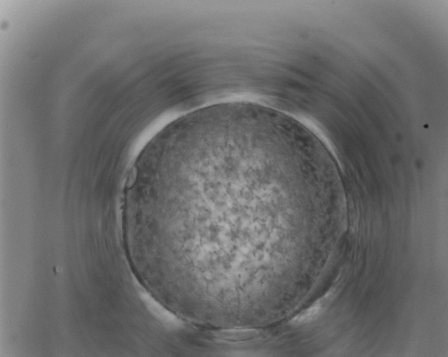 X0000063471151200601271623