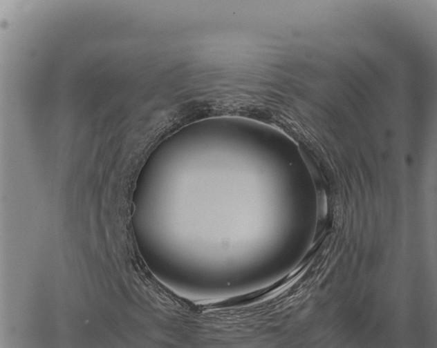 X0000063471153200601271622