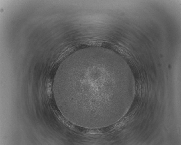 X0000063471154200601271622