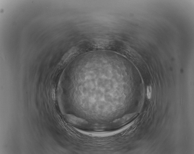 X0000063471155200601271622