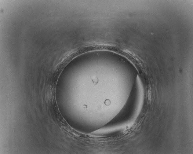 X0000063471157200601271622