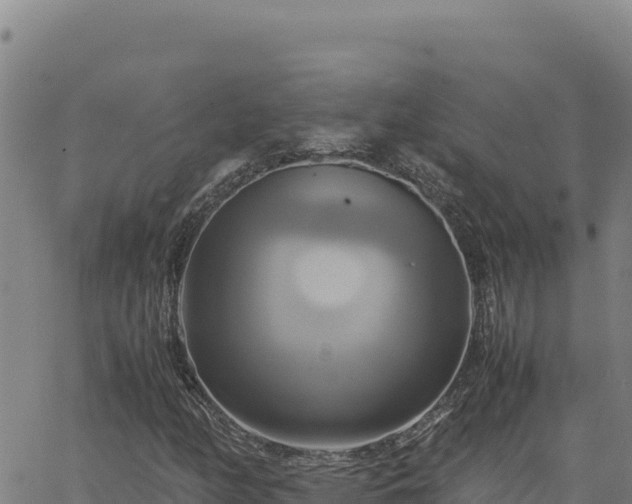 X0000063471158200601271622