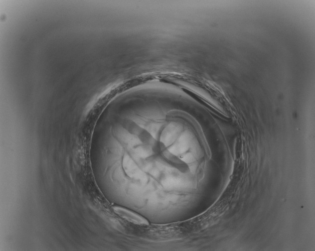 X0000063471159200601271622