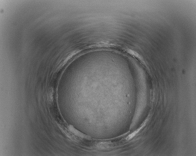 X0000063471161200601271622