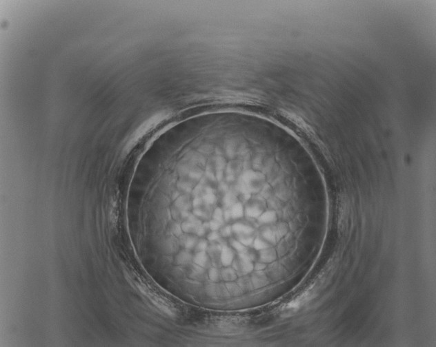 X0000063471163200601271622