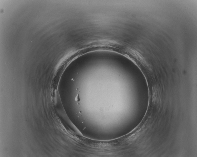 X0000063471164200601271622