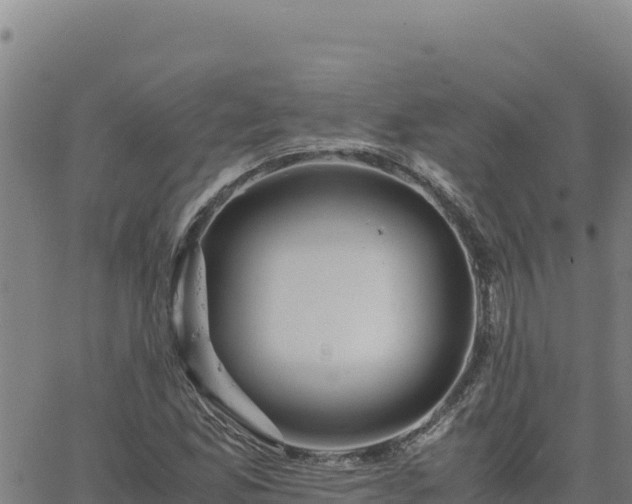 X0000063471165200601271622