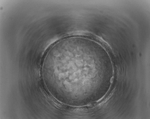 X0000063471166200601271622