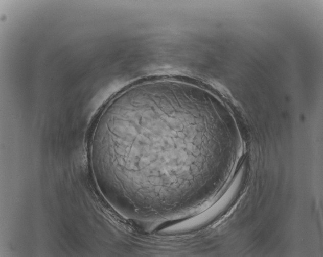 X0000063471167200601271622