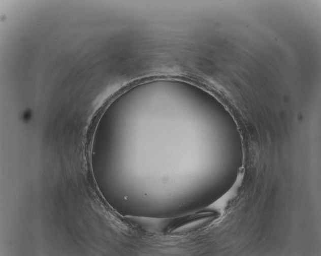 X0000063471168200601271622