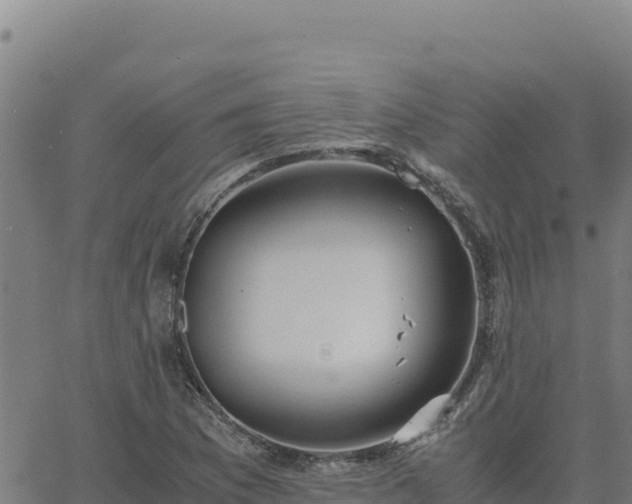 X0000063471169200601271622