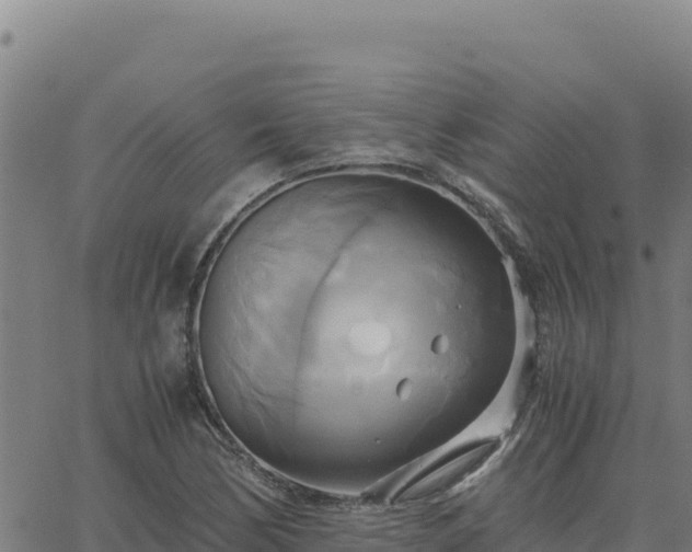 X0000063471170200601271622