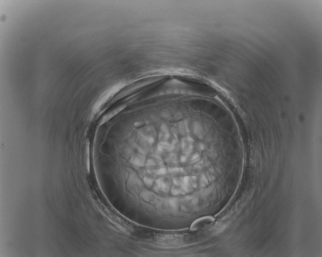 X0000063471171200601271622