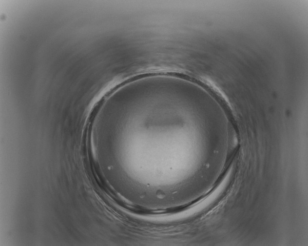 X0000063471173200601271622