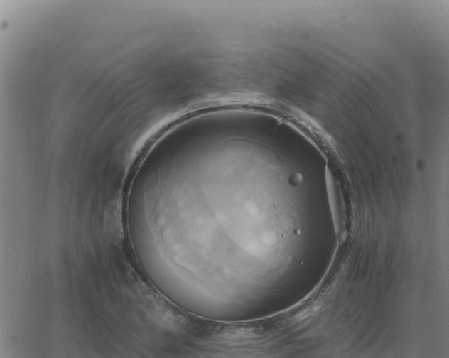 X0000063471174200601271622