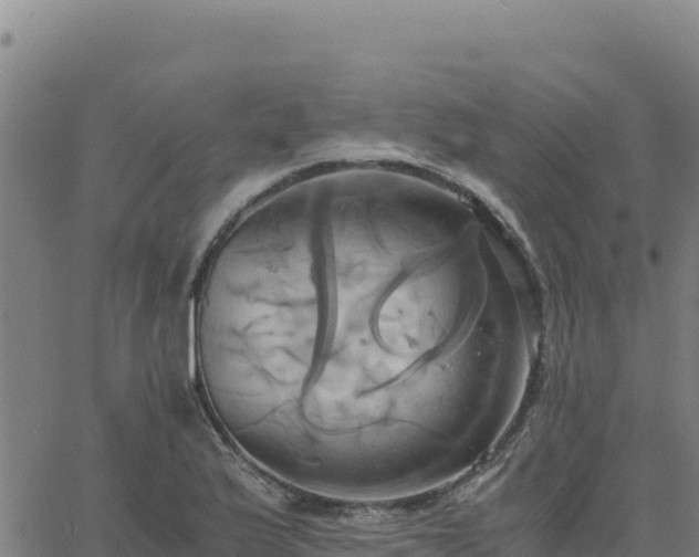 X0000063471175200601271622