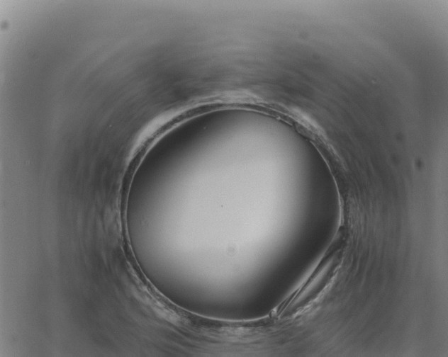 X0000063471176200601271622